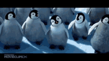 Happy Feet Penguins GIF - Happy Feet Penguins GIFs
