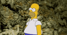 Homer Weed GIF - Homer Weed Avoiding GIFs