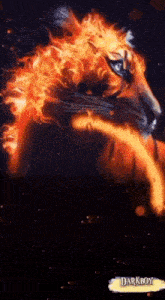 a tiger with flames coming out of its head