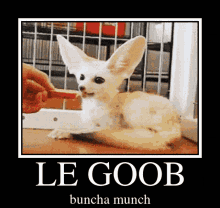 Le Goob Eating GIF