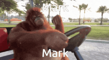 Orangutan Mark GIF - Orangutan Mark Merp GIFs