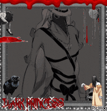 a picture of a woman with the words dark princess written in red