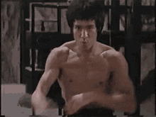 Bruce Lee Fight GIF