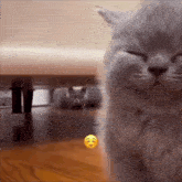 a close up of a cat 's face with a smiley face in the foreground