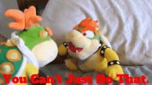 sml bowser junior you cant just do that you cant do that supermariologan