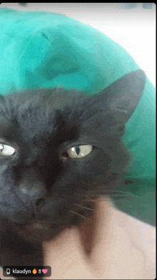 a black cat with green eyes is being held by a person with the name klaudyn on the bottom right
