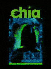 the word chia is on a green background