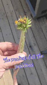 a person is holding a dandelion in their hand with the words " the purliest of all the dandelions " below it