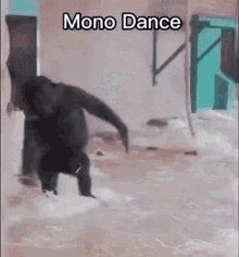Mono Monki Dance GIF - Mono Monki Dance Monot GIFs