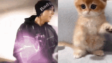 a man wearing a beanie and a cat standing on its hind legs .