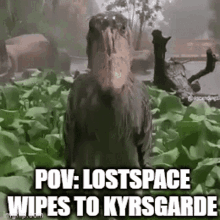 a bird with a large beak is standing in a field of leaves with a caption .