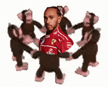 a man in a red shirt that says ibm and pepsi is surrounded by monkeys