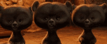 Bears Scary GIF - Bears Scary GIFs