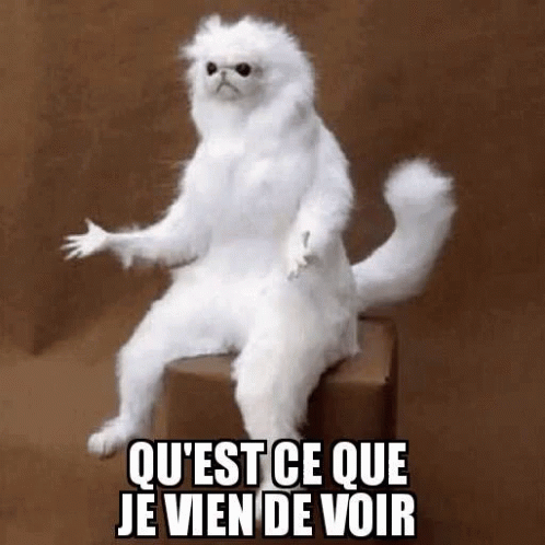 francais queendugif