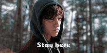 Stay Here For Me Tom Holland GIF - Stay Here For Me Tom Holland Stare GIFs