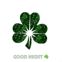 Good Night St Patricks GIF - Good Night St Patricks GIFs