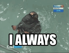 Seal Deal GIF - Seal Deal Always GIFs