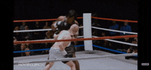 Scary Movie 4 Boxing GIF - Scary Movie 4 Boxing Equal Rights GIFs