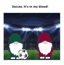 Sports Gnome GIF - Sports Gnome Soccer GIFs