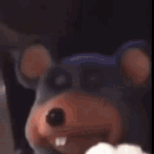 a close up of a stuffed animal wearing a mouse costume with big teeth .