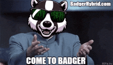 Badgerhybrid GIF - Badgerhybrid GIFs