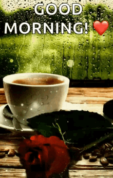 Coffee Red Rose GIF - Coffee Red Rose Good Morning GIFs
