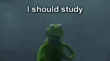 Kermit Memes GIF - Kermit Memes Relate GIFs