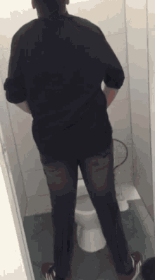 Janulis Toilet GIF - Janulis Toilet Pee GIFs