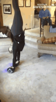 Handstand On Hoverboard People Are Awesome GIF - Handstand On Hoverboard People Are Awesome Tricks GIFs