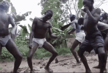 African Dance African Bushman GIF - African Dance African Bushman Bushman Dance GIFs