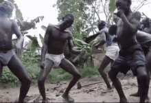 GIF