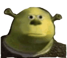 Shrek Shrekowski GIF - Shrek Shrekowski Meme GIFs