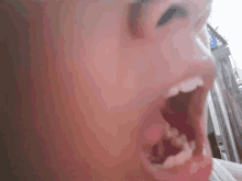 Big Mouth Cat GIF - BigMouthCat - Discover & Share GIFs