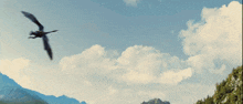 a bird is flying over a mountain range with trees in the foreground
