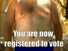 Vote Register GIF - Vote Register Gaming GIFs