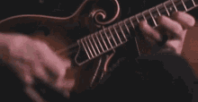 Playing Mandolin Mandolin GIF