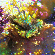 Rainbow Minerals Virtualdream GIF - Rainbow Minerals Virtualdream Ai GIFs