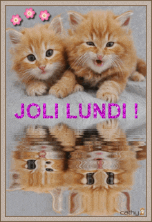 a picture of two kittens with joli lundi written on it