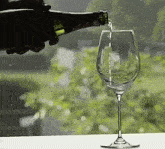 Wine Pouring-wine GIF