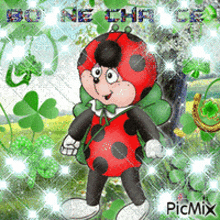 a picture of a ladybug with the words bonne chance on the bottom