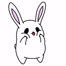 rabbit lovely