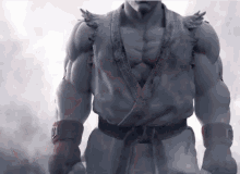 Ryu'S Power GIF - Street Fighter Five GIFs