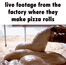 Pizza Rolls Suck GIF - Pizza Rolls Suck Poop GIFs