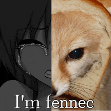 a picture of a girl crying next to a picture of a cat with the words i 'm fennec on it
