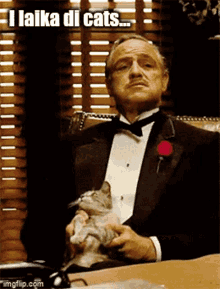 Godfather Lcp GIF - Godfather Lcp La Chatte Pucie GIFs
