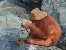 Monki Fish Monki Go Fishing GIF - Monki Fish Monki Go Fishing Monkey GIFs