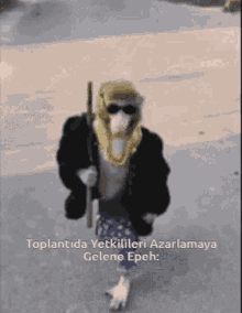 Maymun Epeh GIF - Maymun Epeh Watchers GIFs