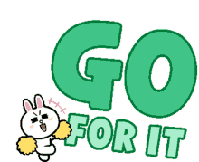 go for it cheerleader cony support fans