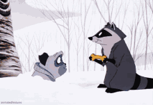 Raccoon Offering Food, Or Not - Just Kidding GIF