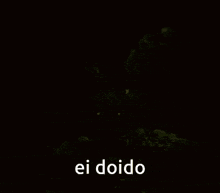 a picture of a bunny with the words ei doido written on it